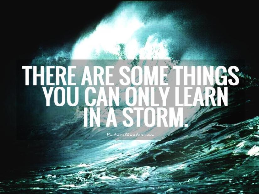 there-are-some-things-you-can-only-learn-in-a-storm-quote-1